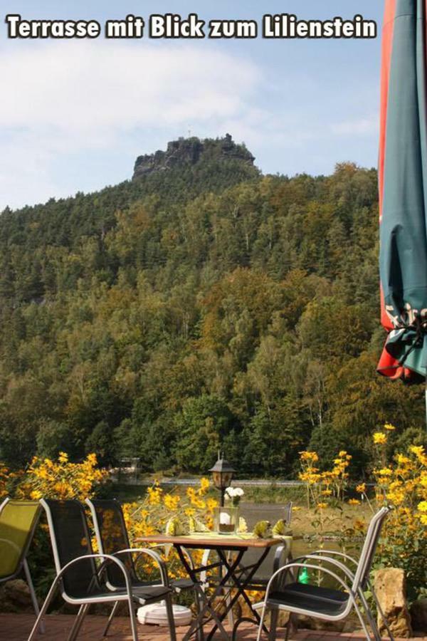 Pension Bomaetscher Königstein an der Elbe Eksteriør bilde